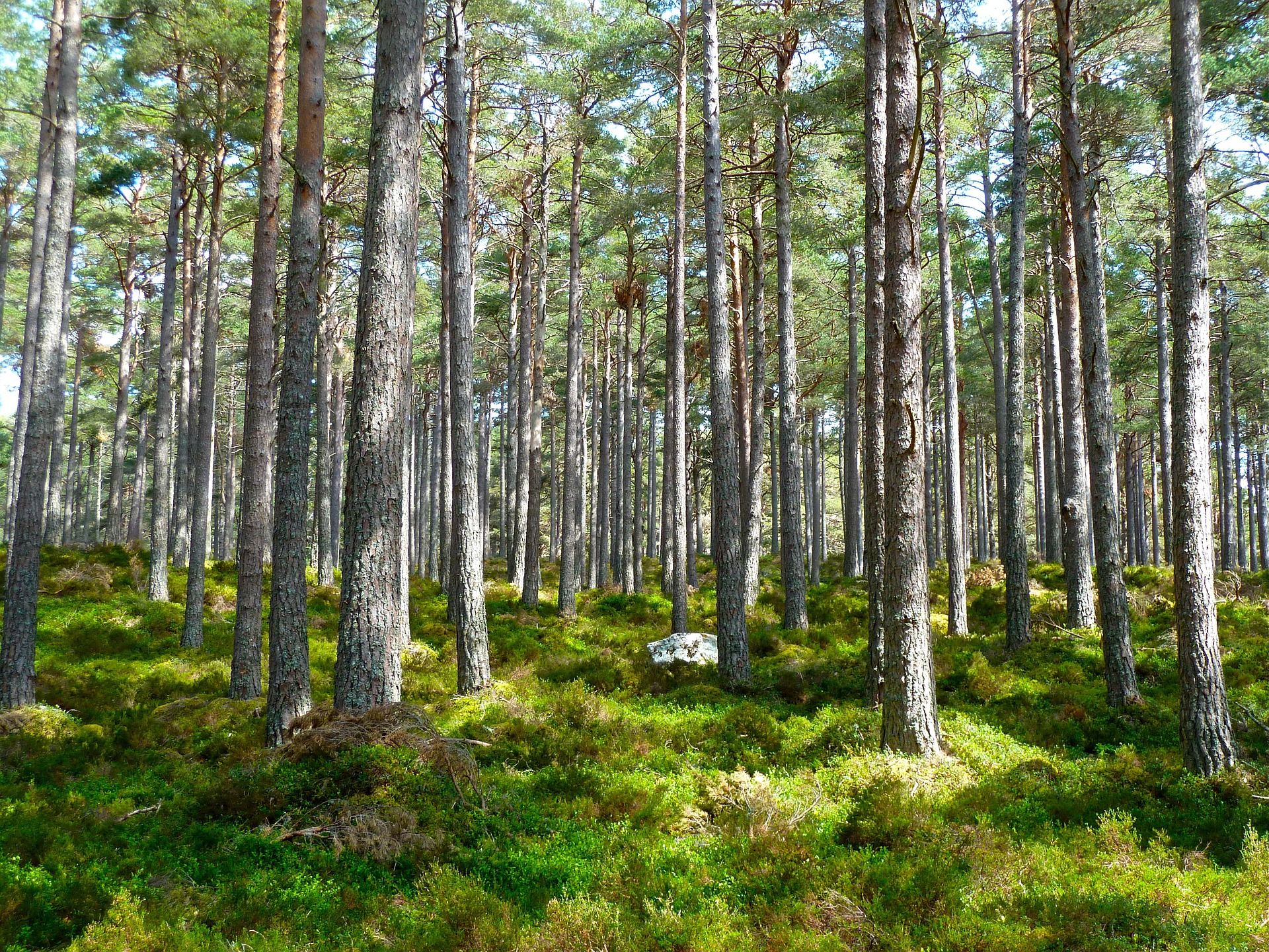 Investors are growing increasingly uncomfortable with ESG label